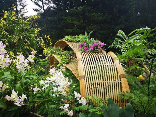 文科大講堂丨現(xiàn)代竹編在公共藝術(shù)景觀中的運用