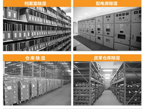 制藥廠轉(zhuǎn)輪除濕系統(tǒng)裝置 專業(yè)廠家專供與信息咨詢服務